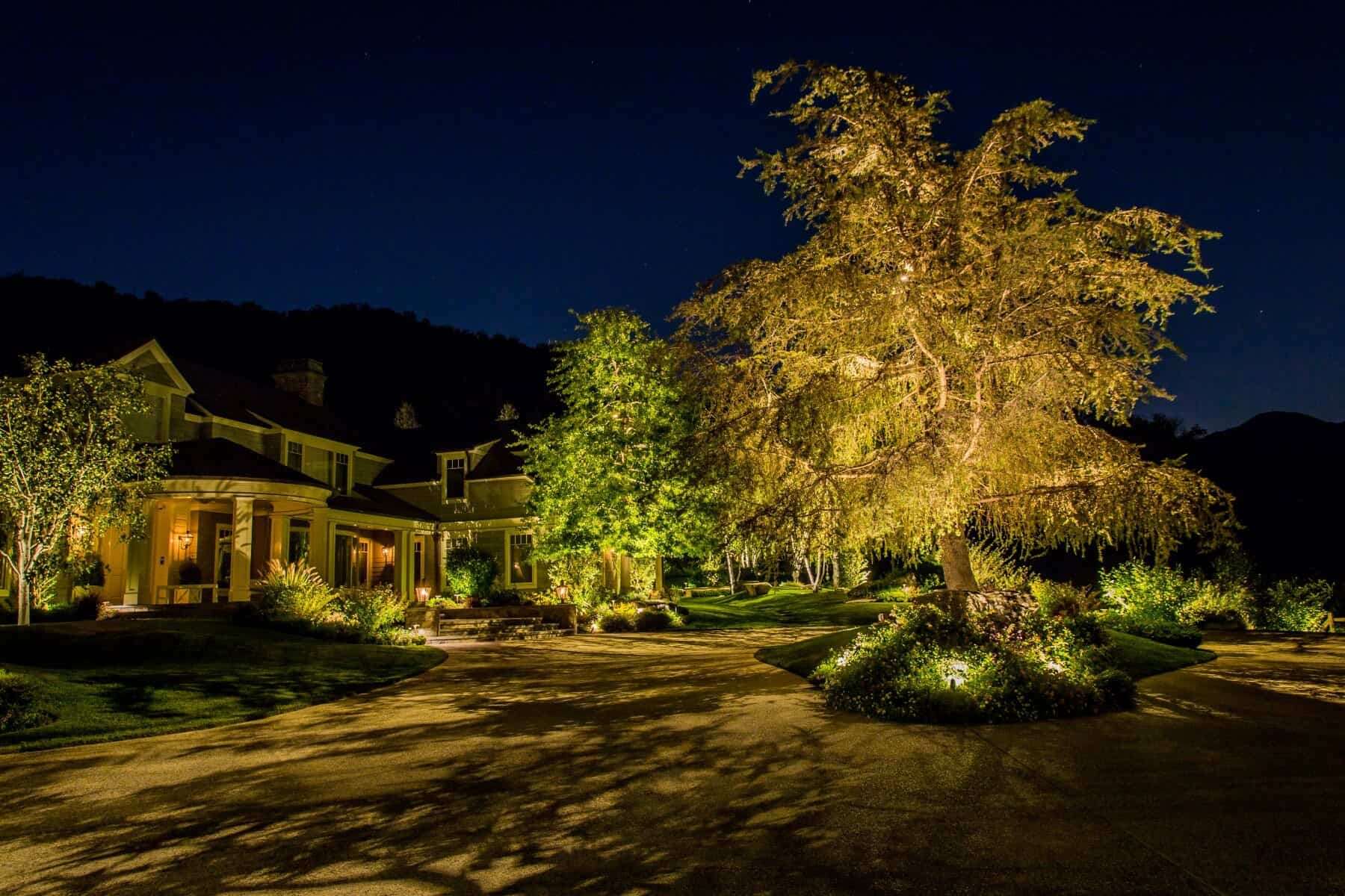 Driveway Moonlight