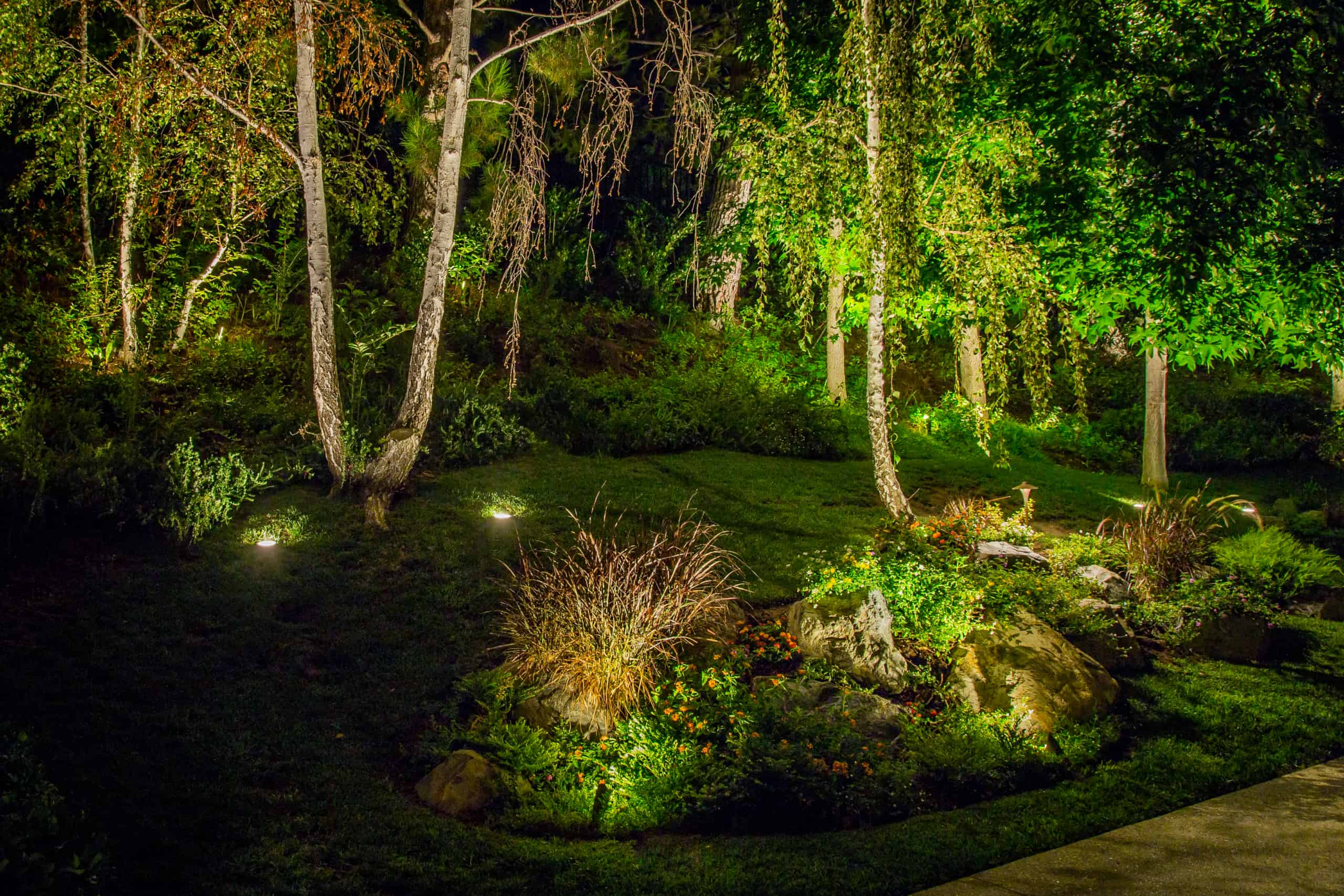 Low Light Outdoor Plants