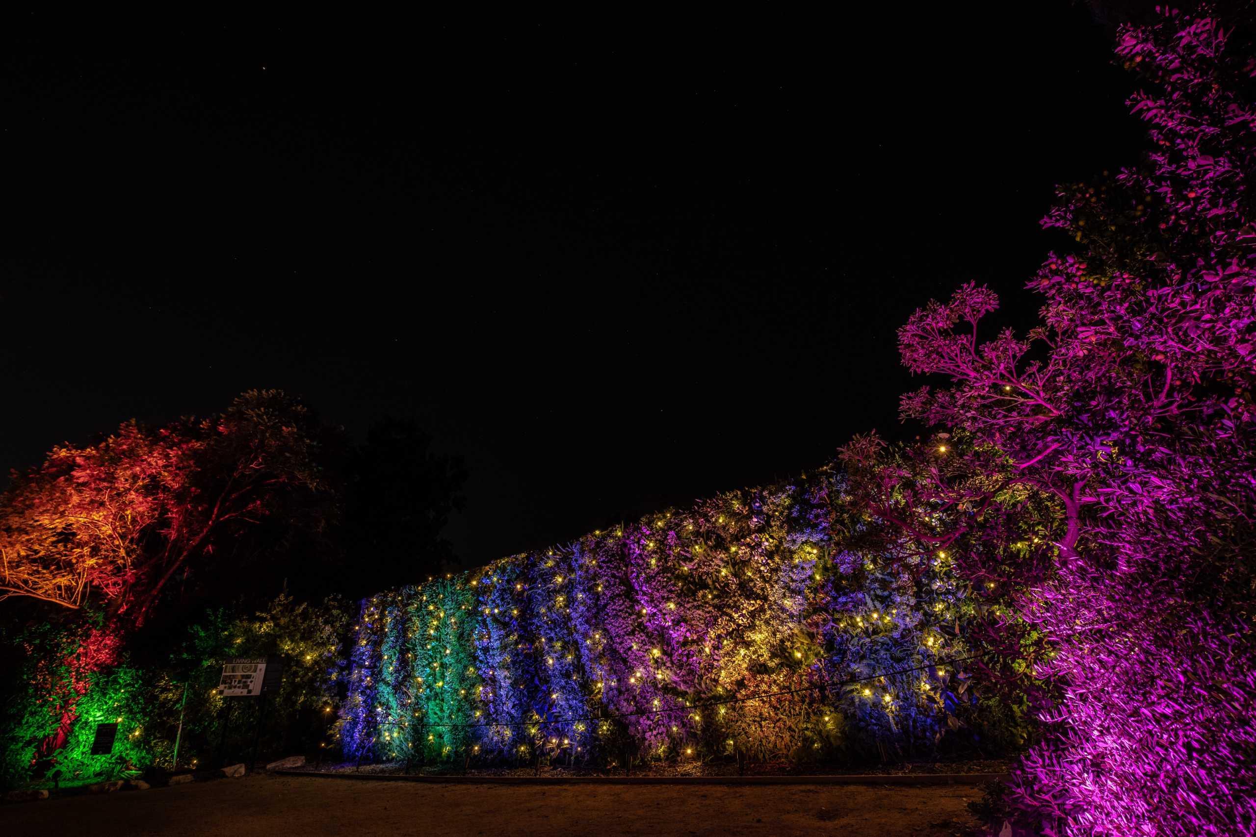 Fireflies in the Living Wall